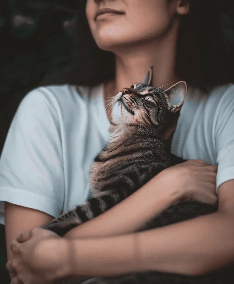 Edited - The cat is held in its owner's arm