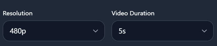 Select Video Generation Settings